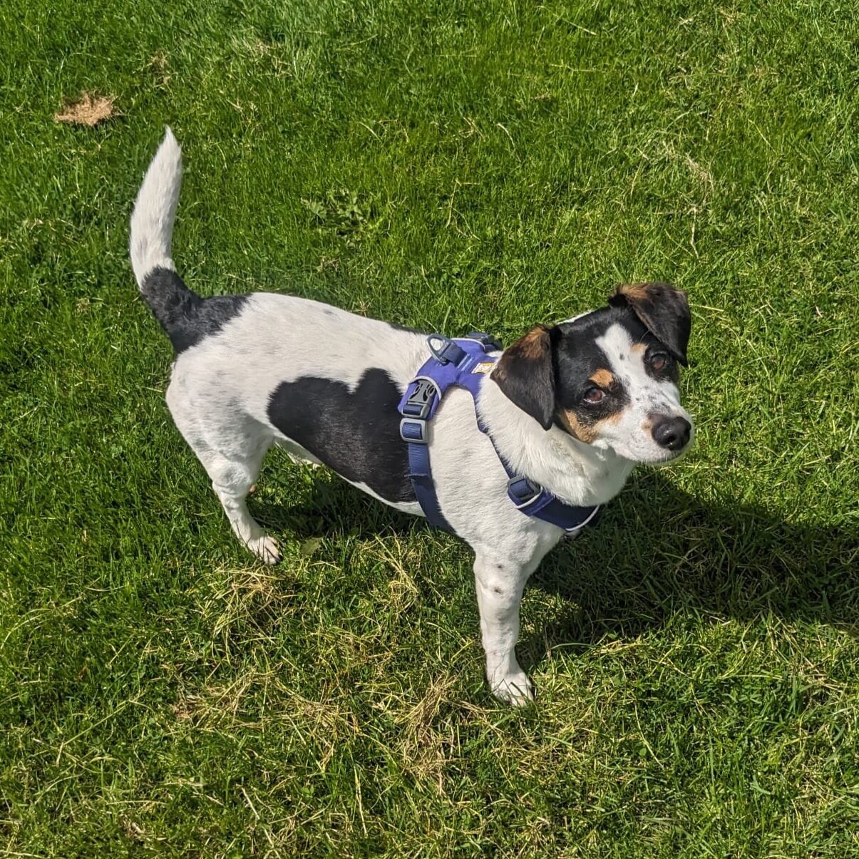 01BBF49F-A749-49CA-807E-F3F683975AAF