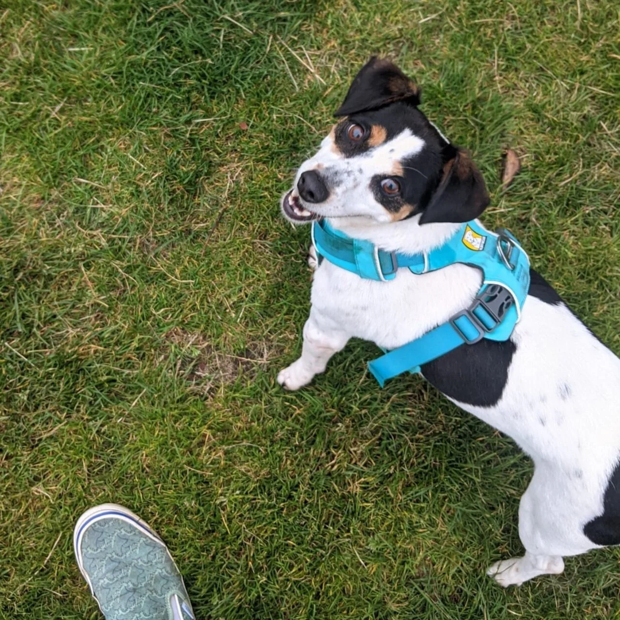 0F0B923D-D175-41A1-A9E9-C63D0F32CC06