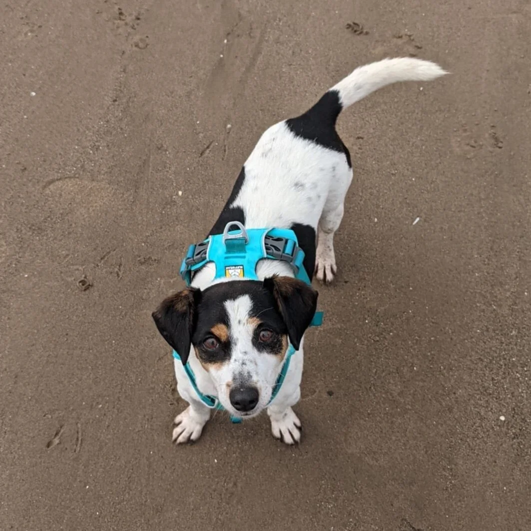 90F97946-380F-4AEA-97B5-020BF9B6007A