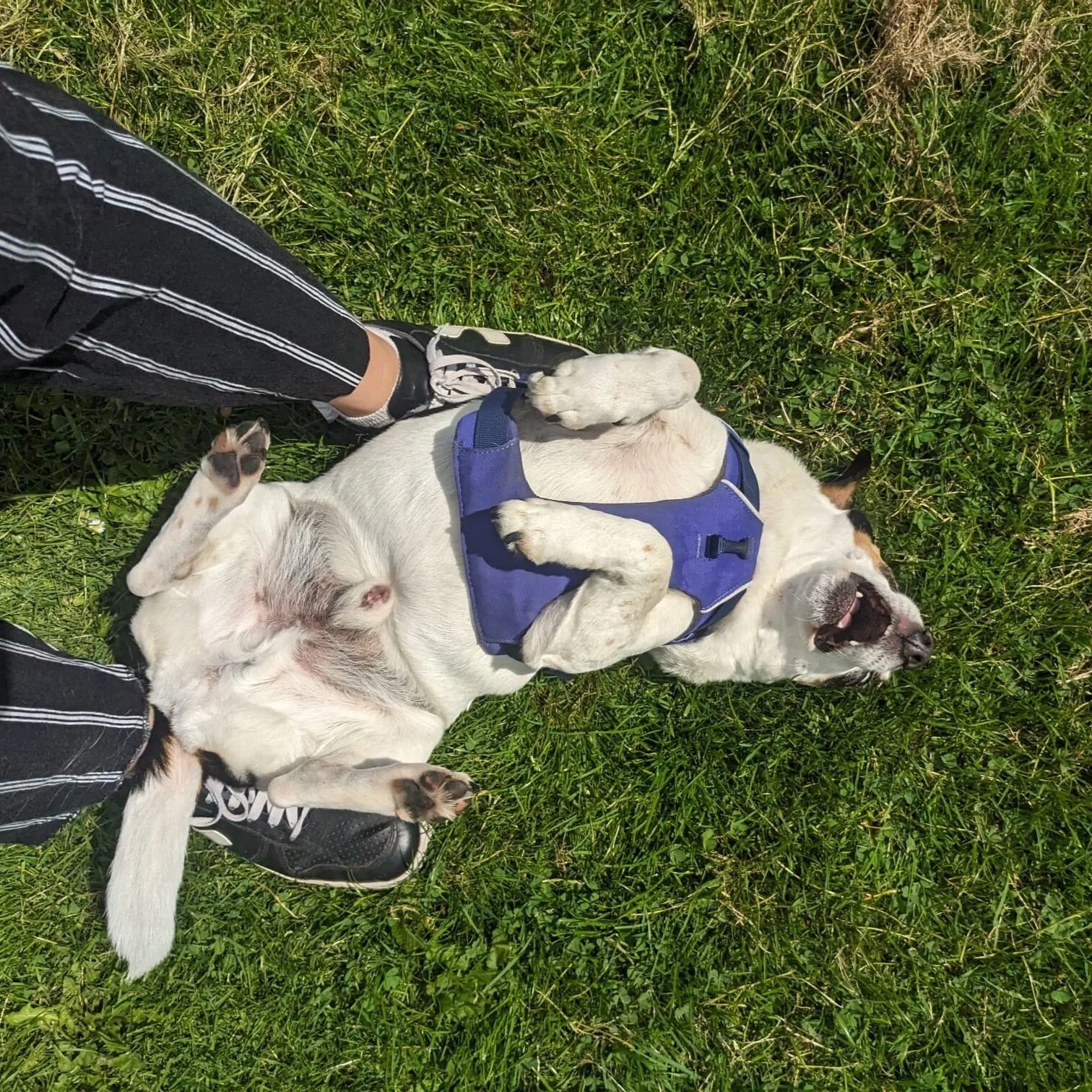 70131787-ECBC-4BCD-B6B8-D57095714813