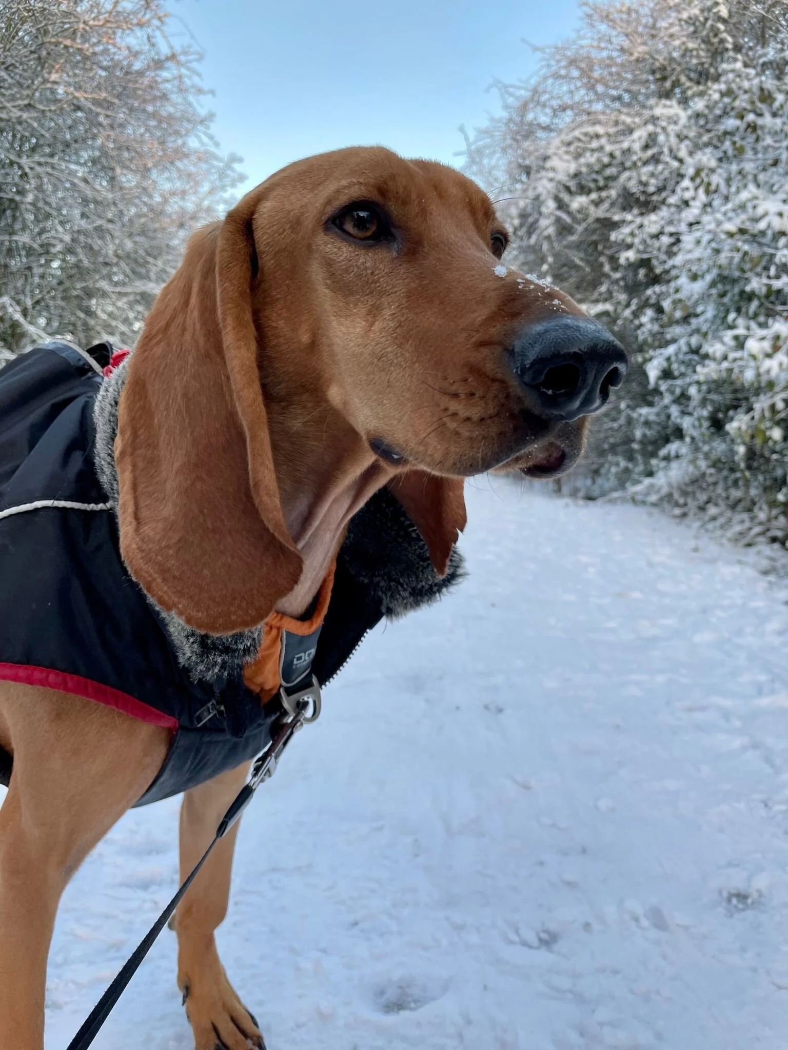 43FF53B5-0BD7-4FF3-8F5E-05E672A630CE