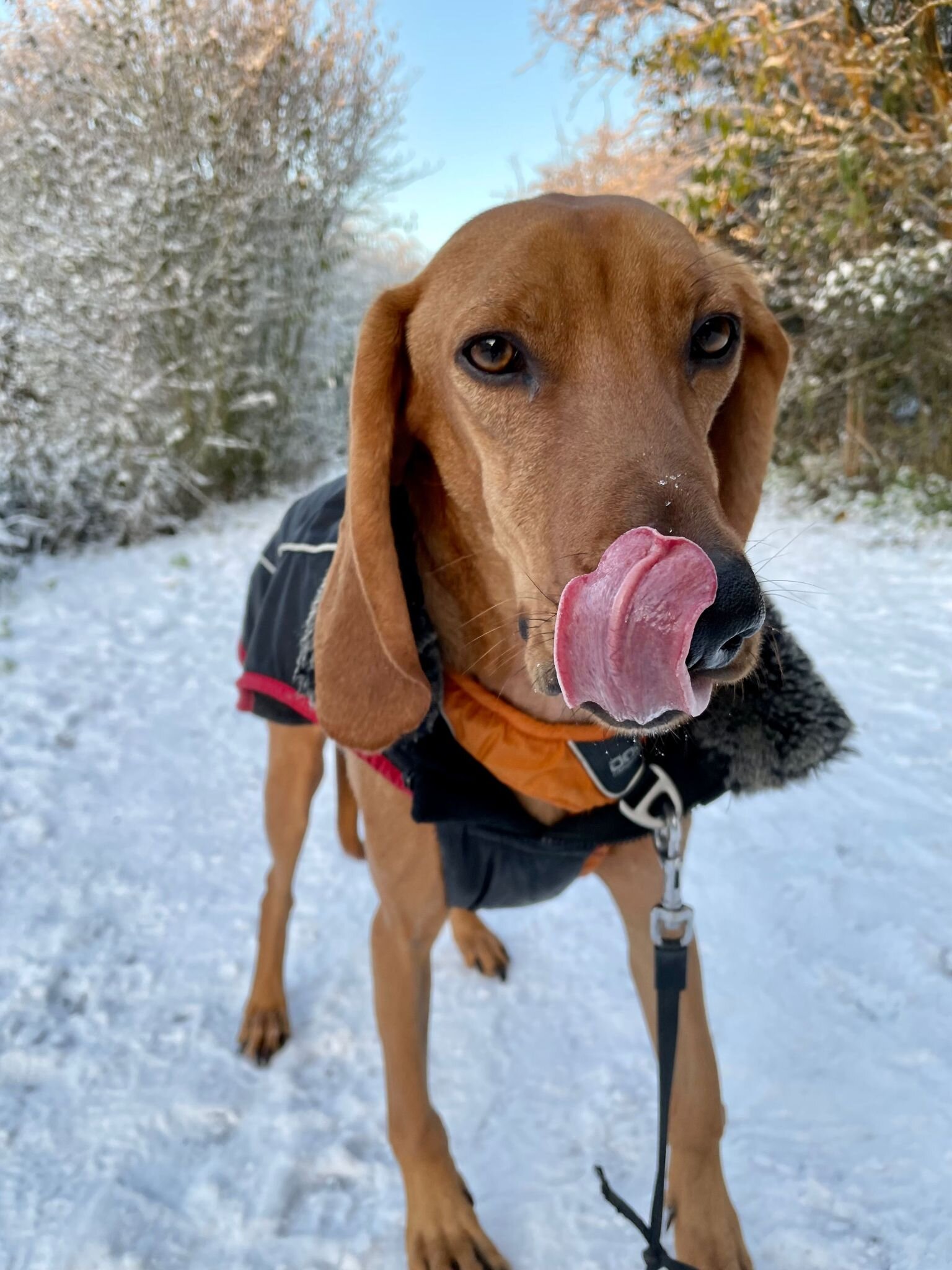 A185874C-9D07-4D84-BCDF-D4FD989F7E76