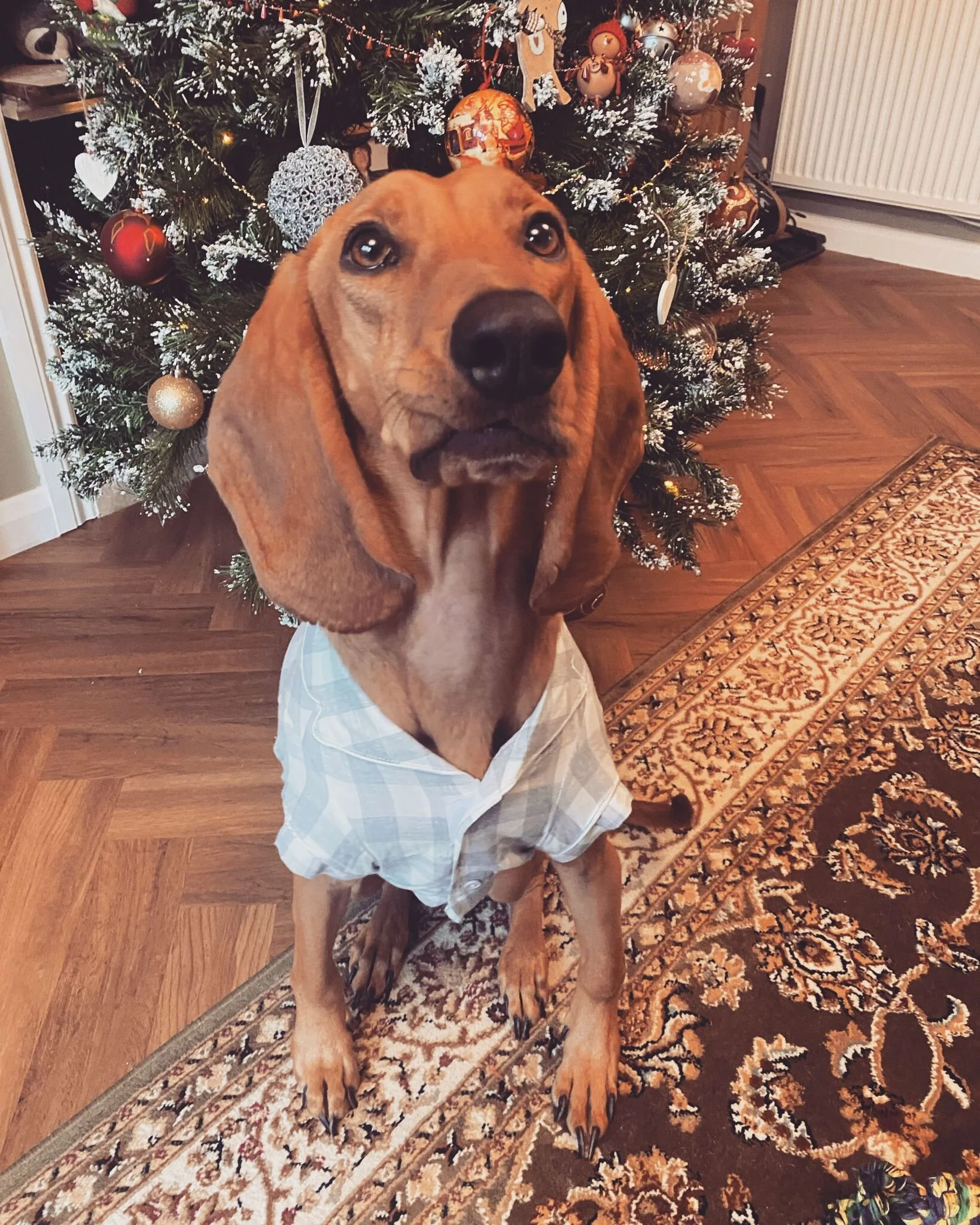 4D9F77A1-84C9-4508-BE6C-4B247B79910E