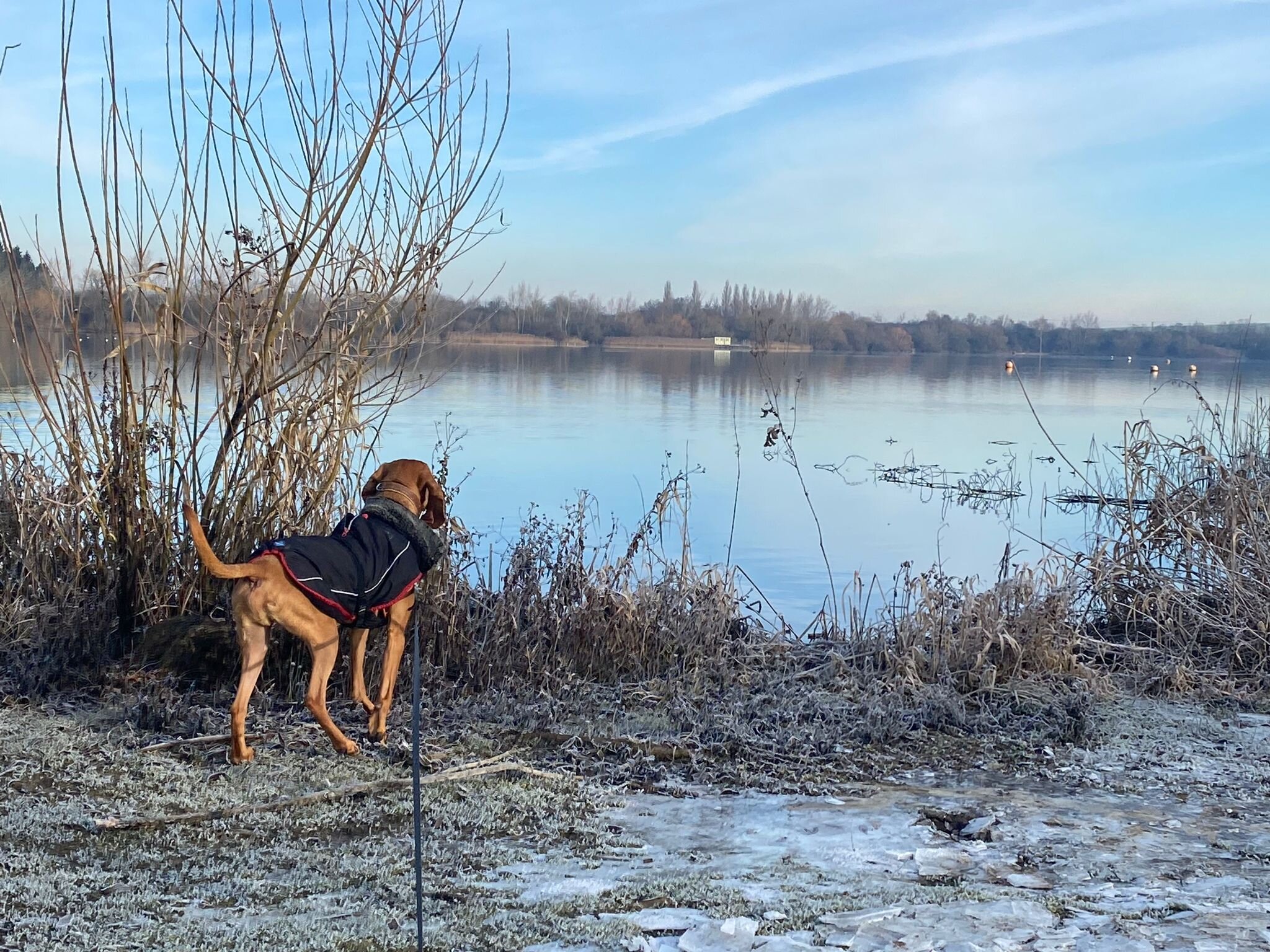 426FD9DA-7677-46E2-BCB0-8B5C61306947