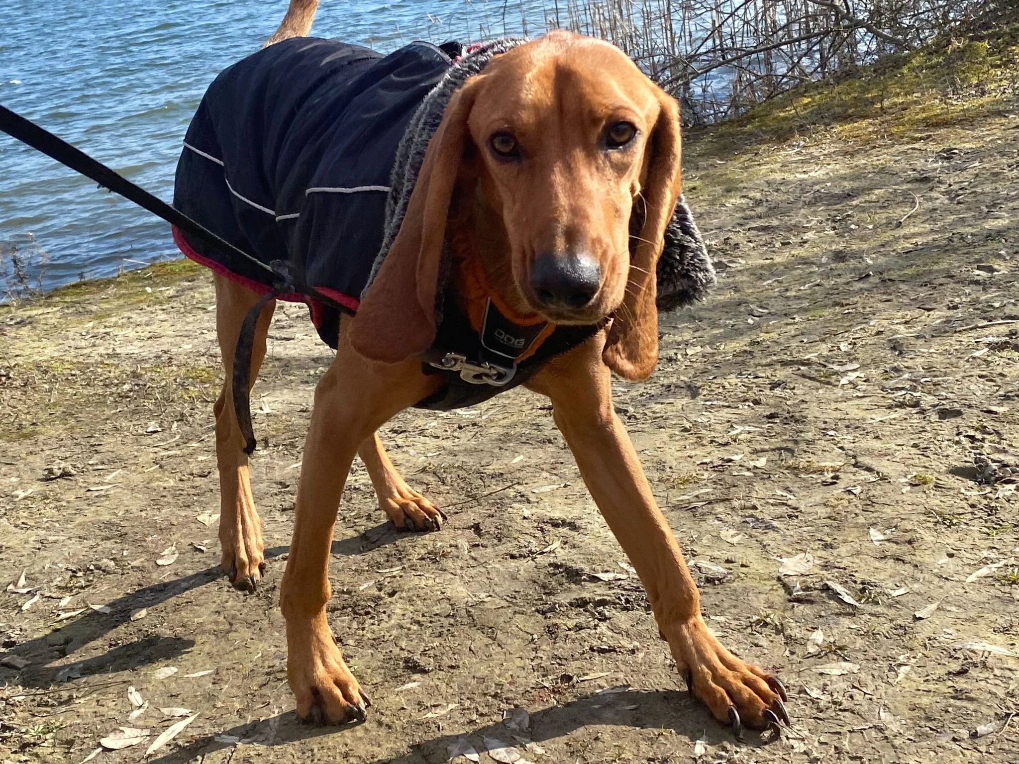 2FD64F53-DA49-42A1-A0E8-136605567D9C