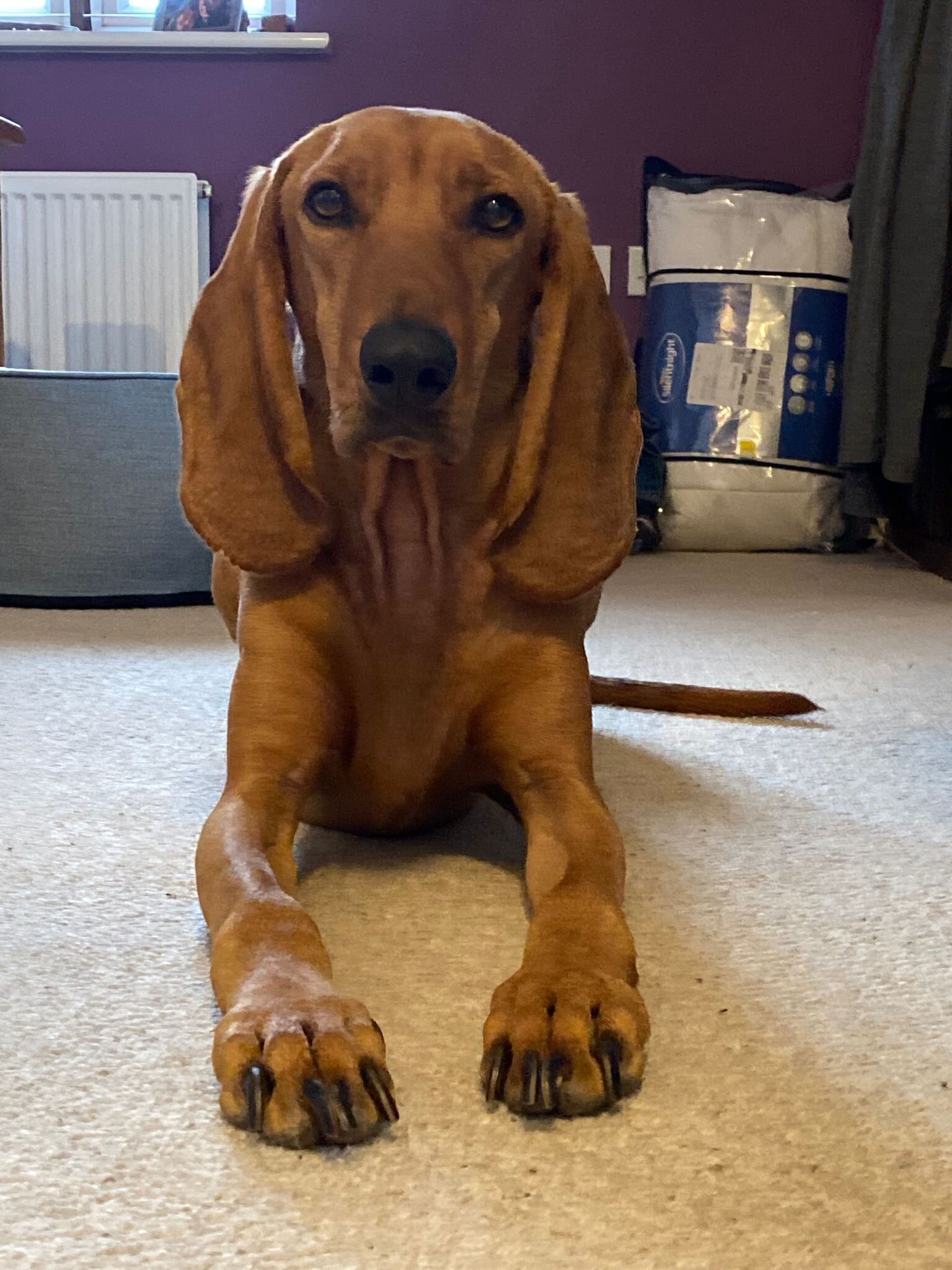 929112A7-12FE-4662-AB7C-5FE4AD064D82