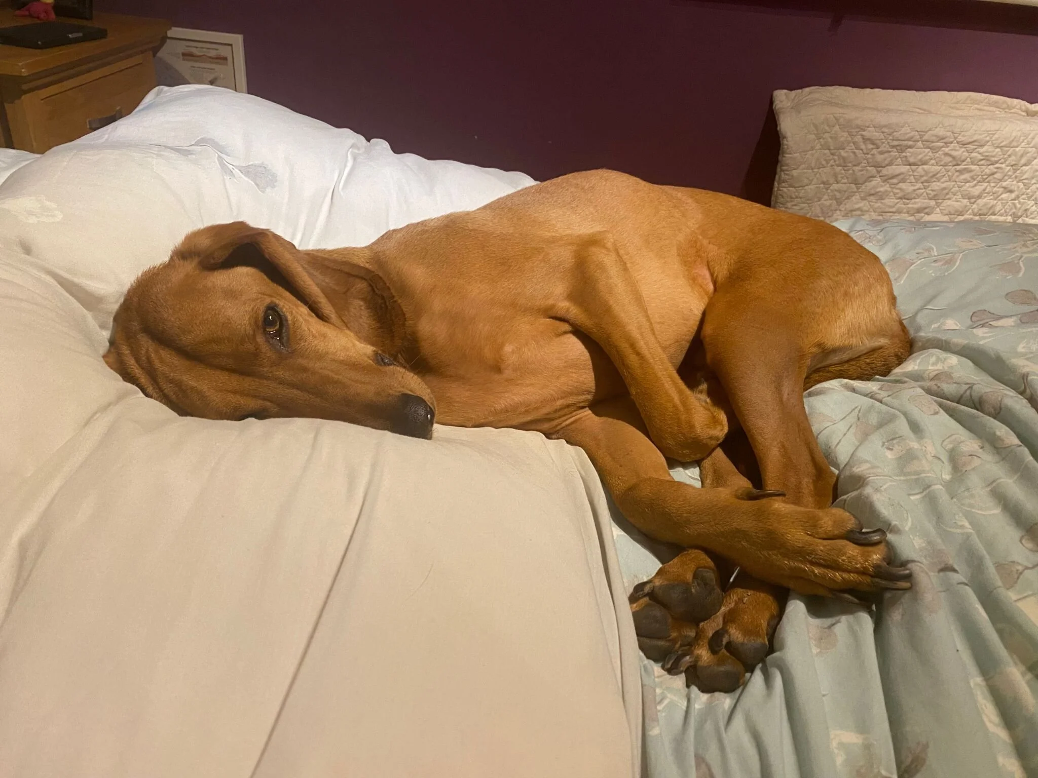 27AE620A-5D0A-42F5-BE68-667D4728FD6F