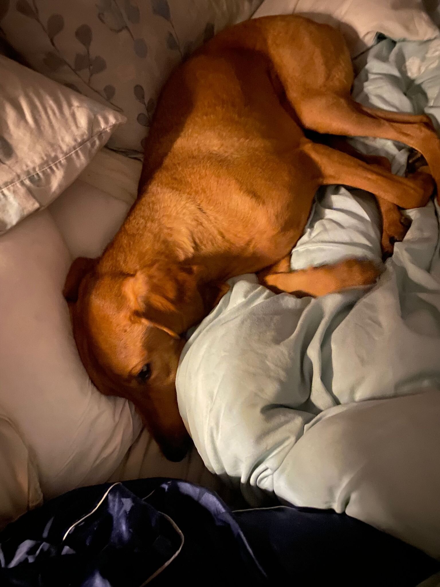 60F27765-C7D7-42C5-A51C-8E437A4E5B5A