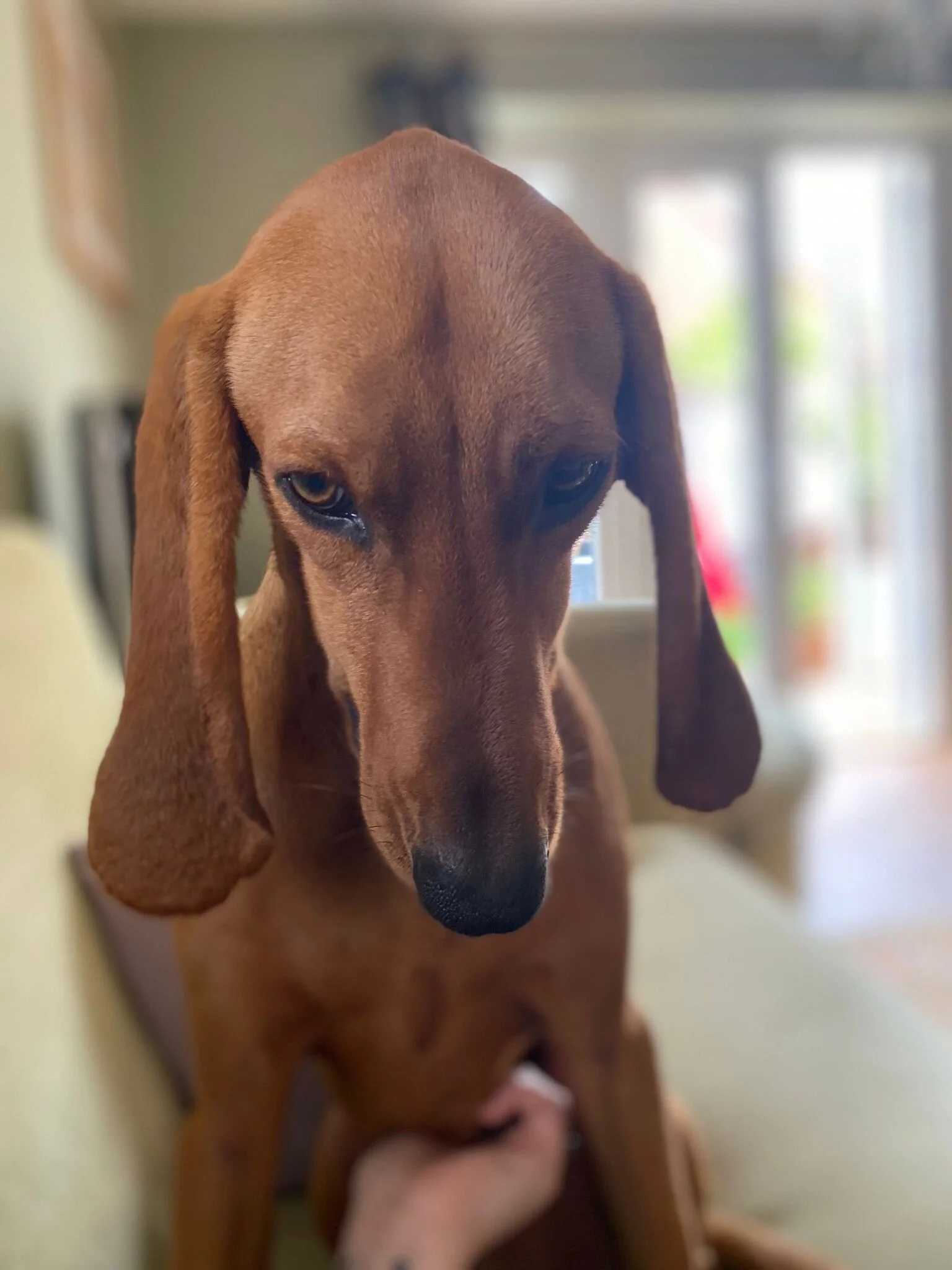 FB094700-9895-4FF0-819D-33D4EB07DF5F