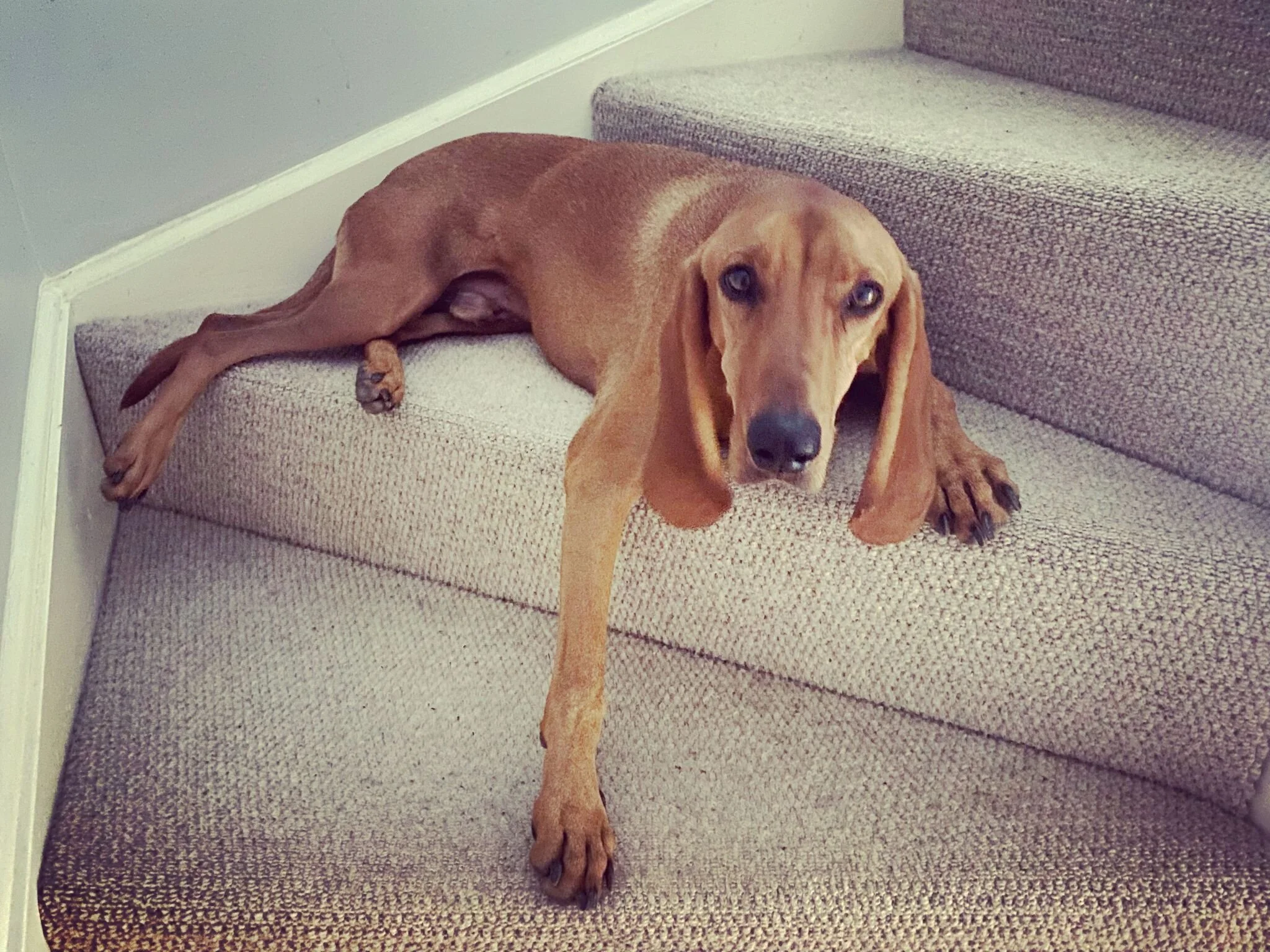 368E9505-4E7E-488C-BAB4-764FF94BF50B