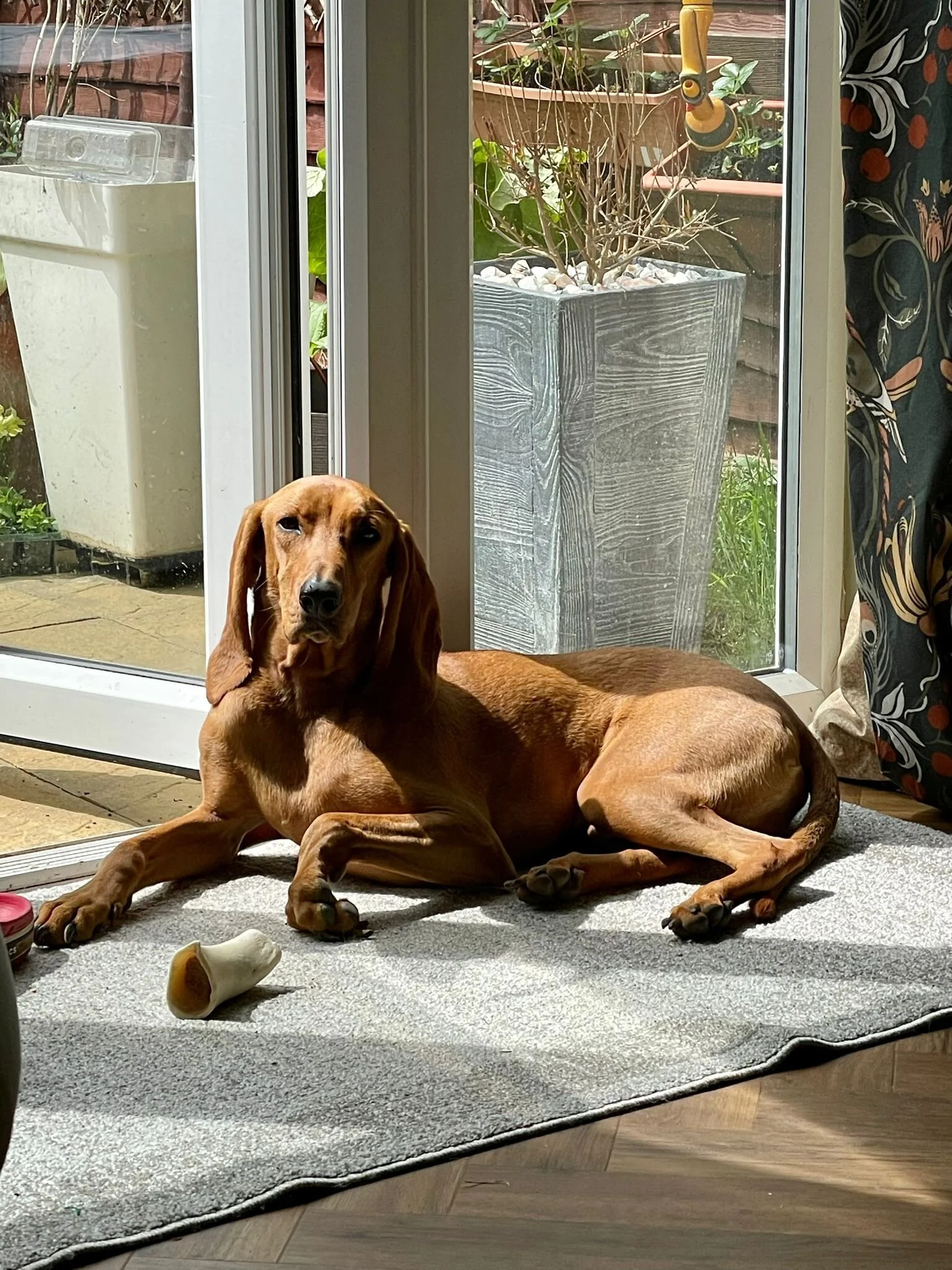 55AC2827-56F5-4BD1-9F34-F9BB6B5C460A