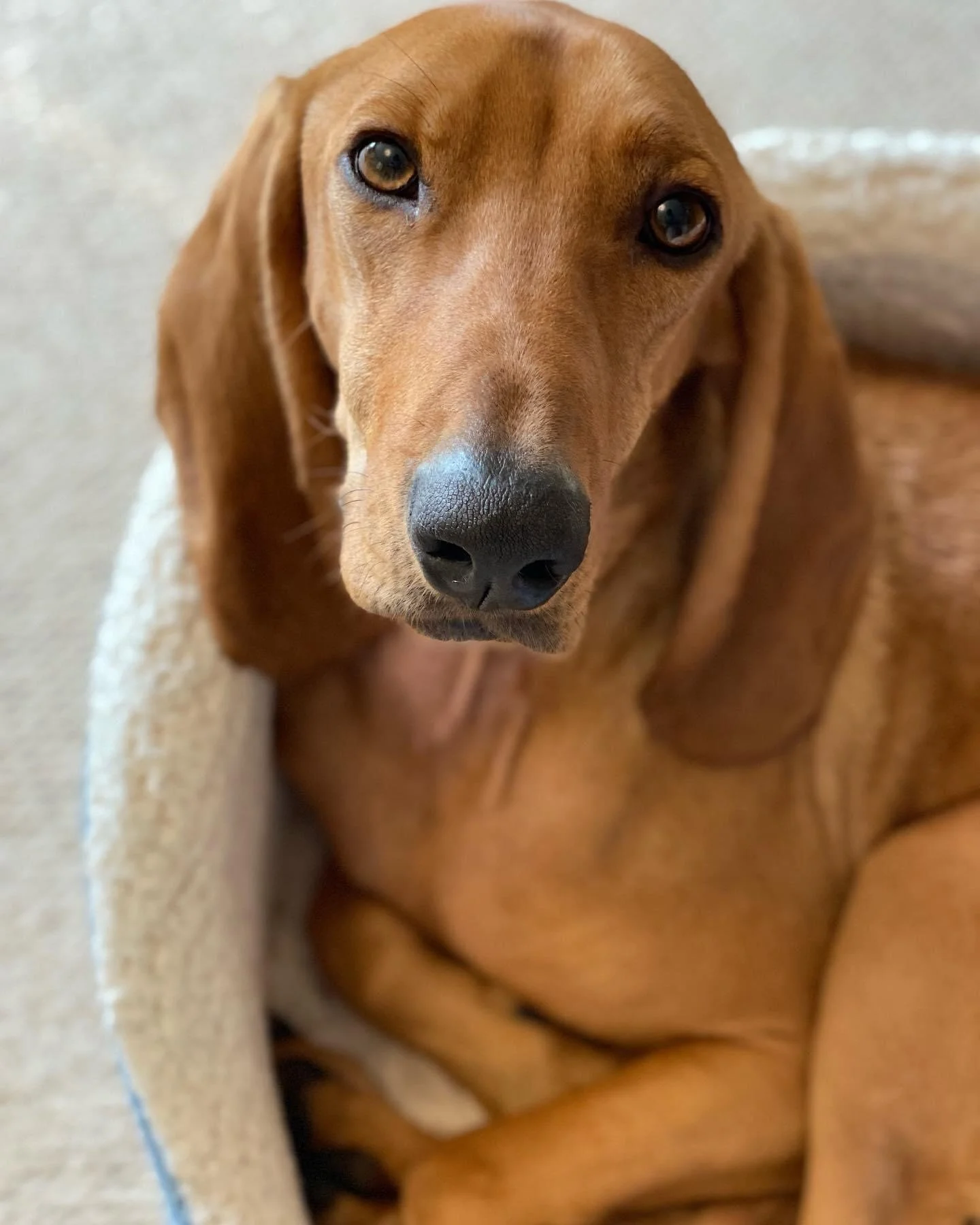 CA1B7486-3142-4FAC-BFAF-98225EA5F4B6