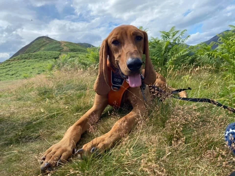 A14D8B0C-00A1-4B3E-9A8B-4F5B974B7BA7