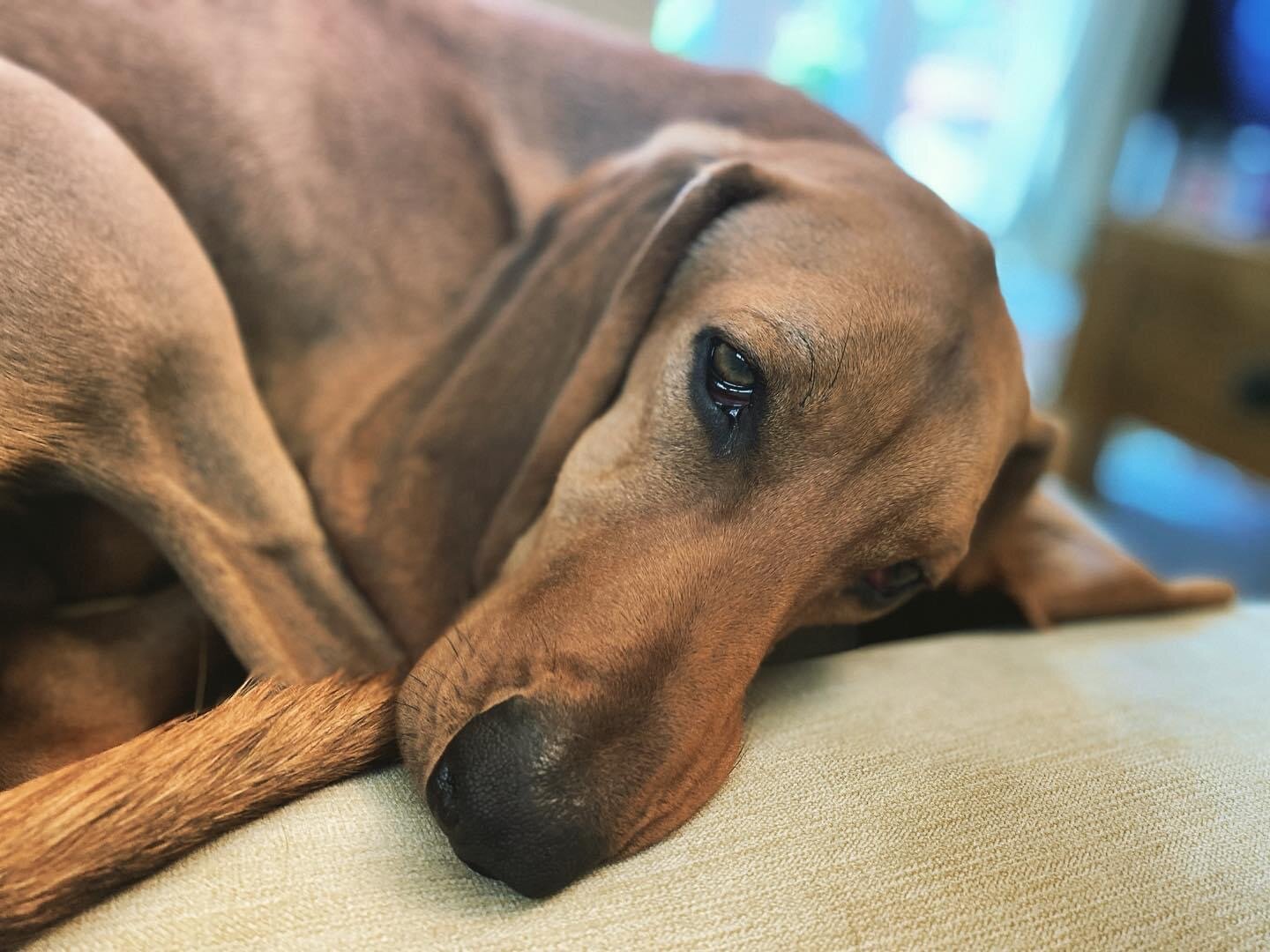 D3FC1069-05FE-46DE-BE77-C8AE8EC040CC