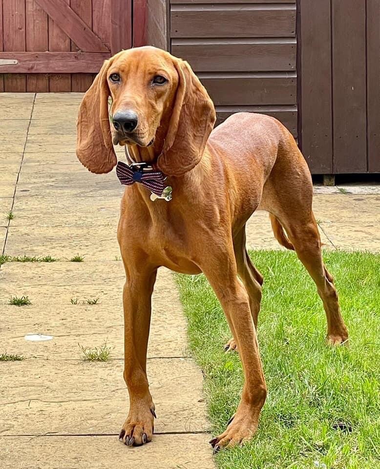 E8BDFD4C-8E40-4EDB-9A62-23938F6393A7