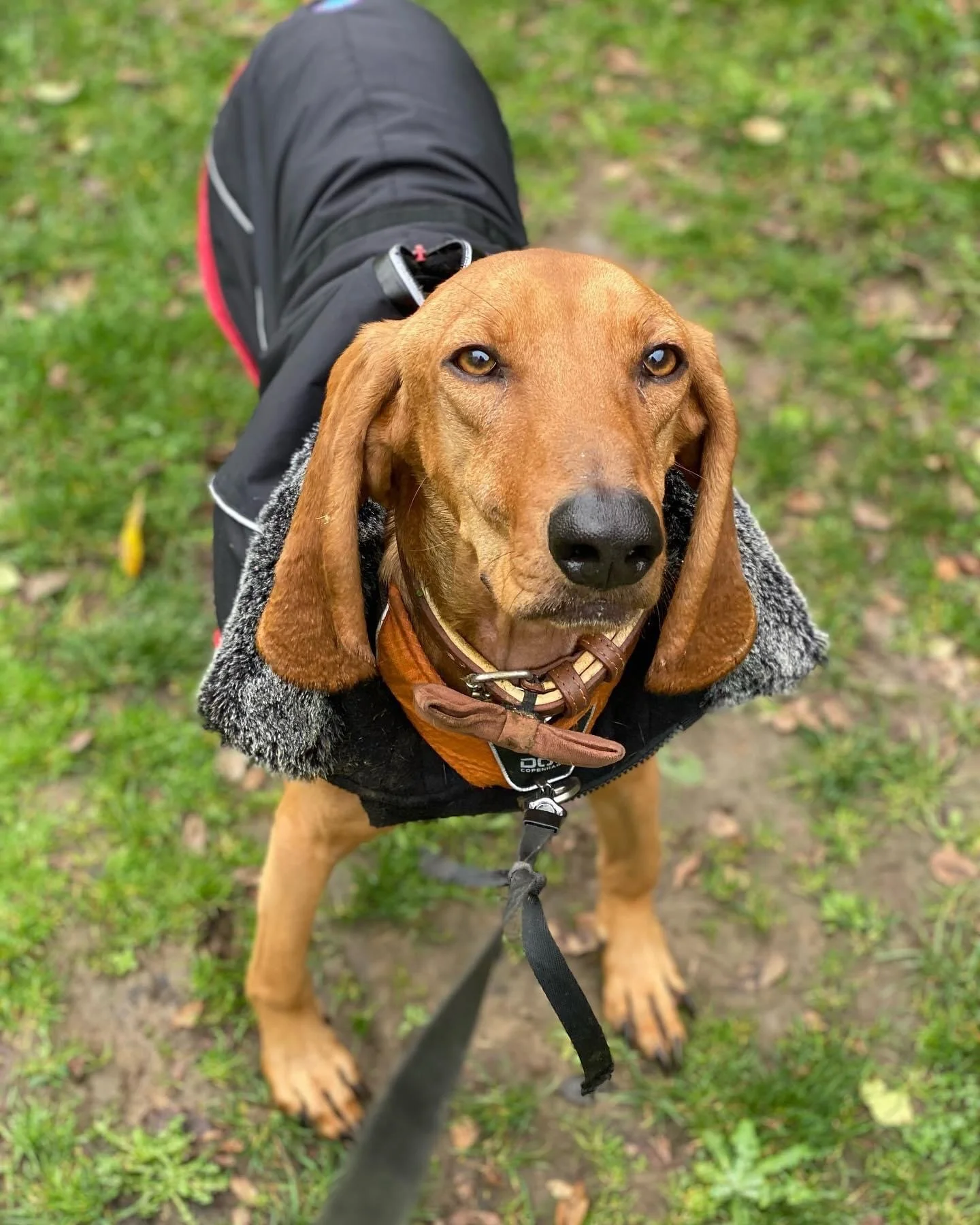 9FE4F8EC-456E-43F4-AC94-F5F4B8C419E7