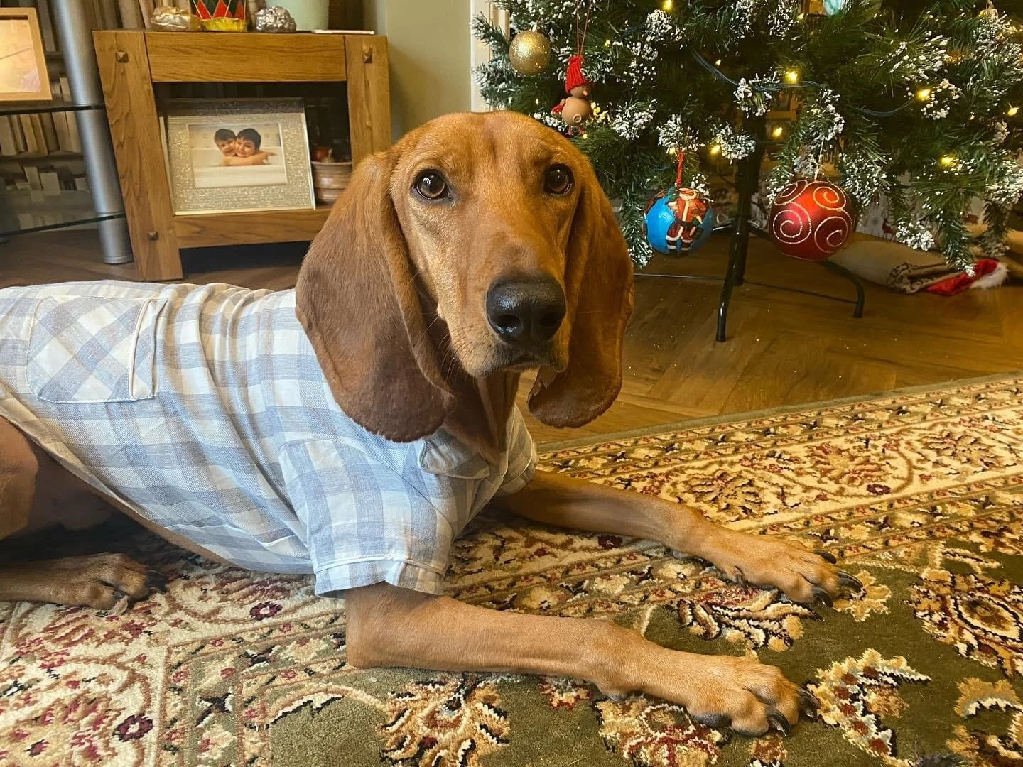 F4E57488-55F9-4F77-94DC-62D871B29886