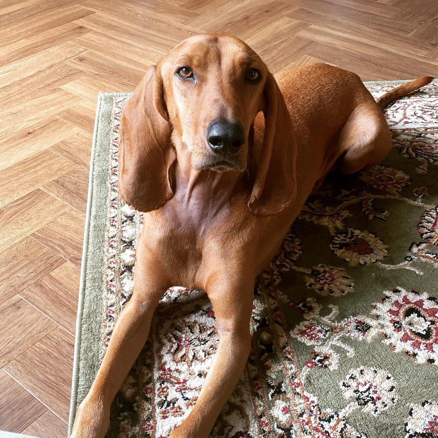 C0E9F06F-623F-443D-8E01-4FC10C6CF7CF