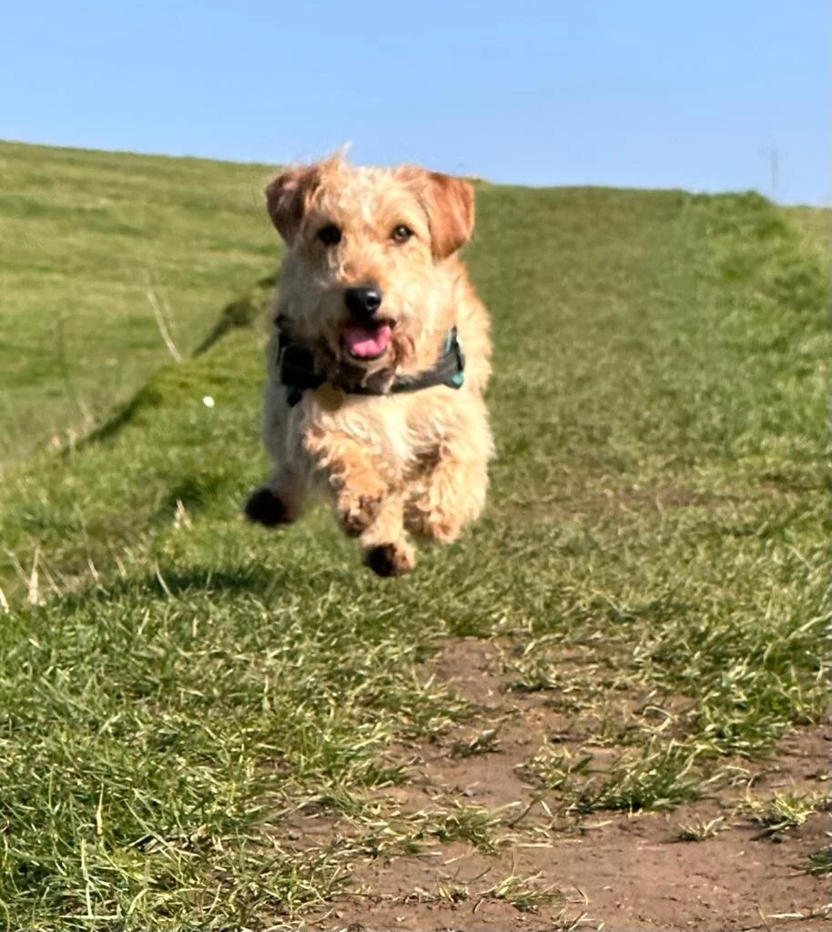 C15EBF34-952F-4E67-A12A-17E0853D1872