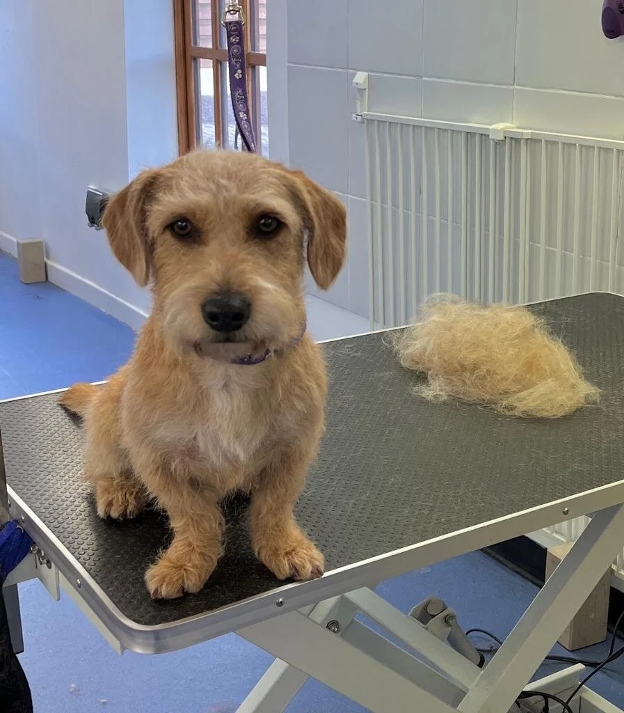 DF91DF85-236E-4BD0-A331-FBA41123471B