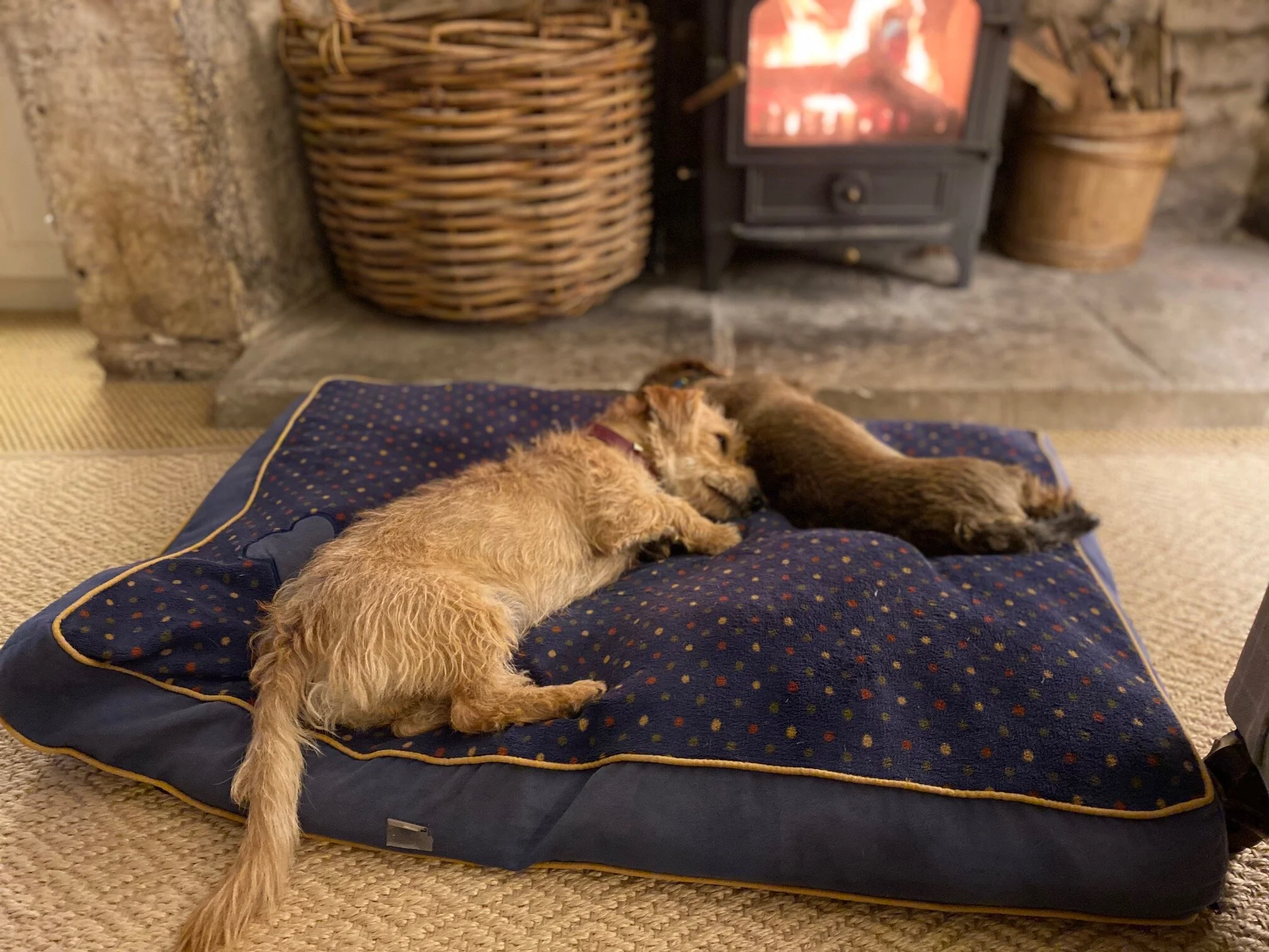 54CB78C5-0C08-4AC1-AA8D-3E401B57899B