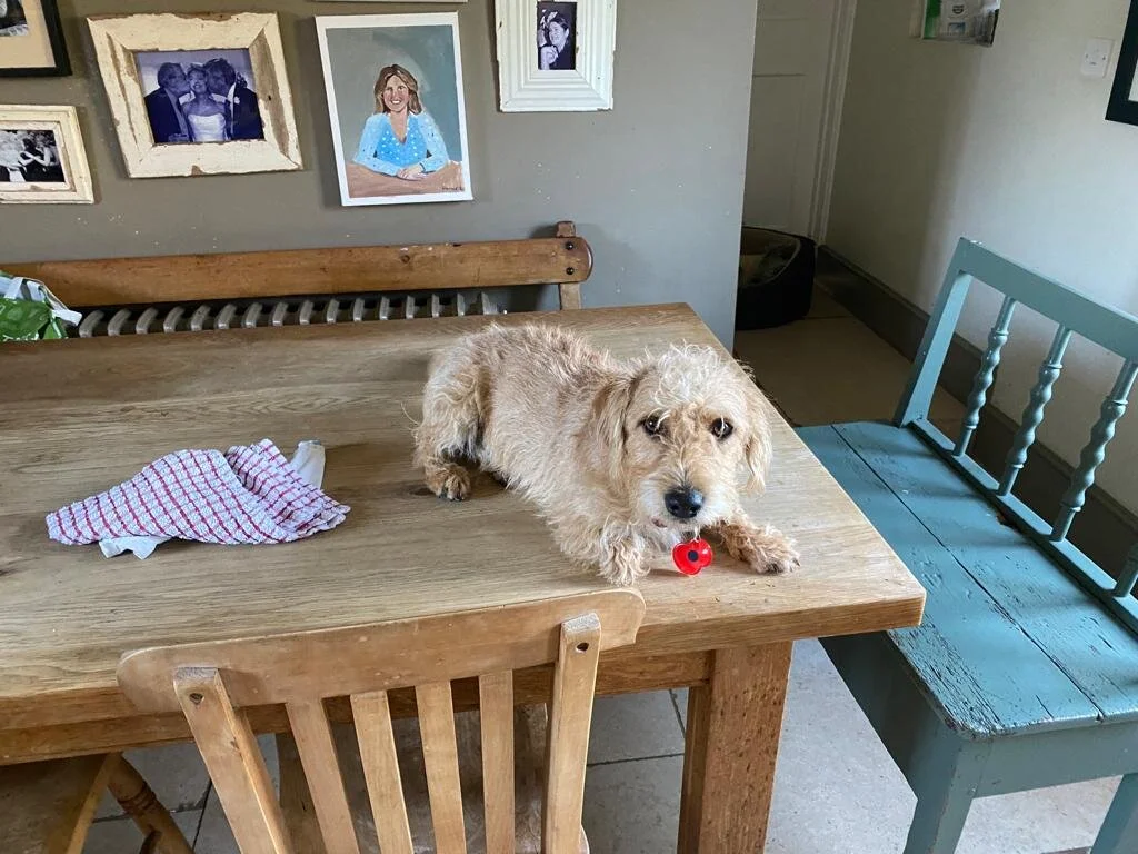 23018C57-494A-4565-B782-C42C6050C41D