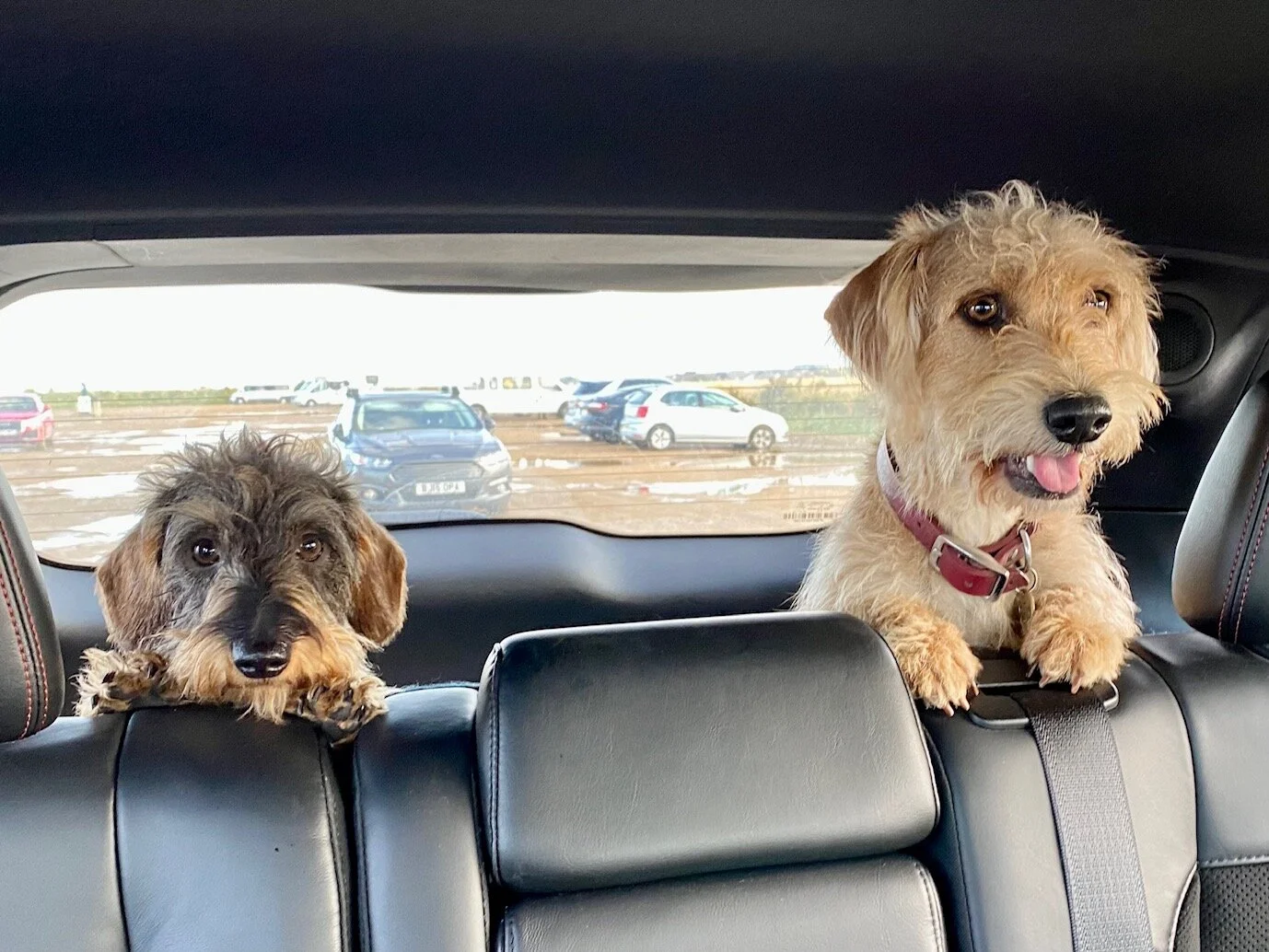 F2EF0F19-0762-4322-BA1F-812495A3A026