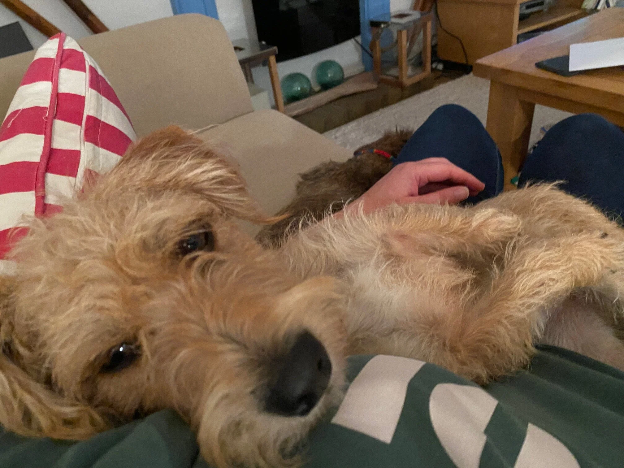 0EB053AE-1139-4DD1-90D3-8DA5971F257B