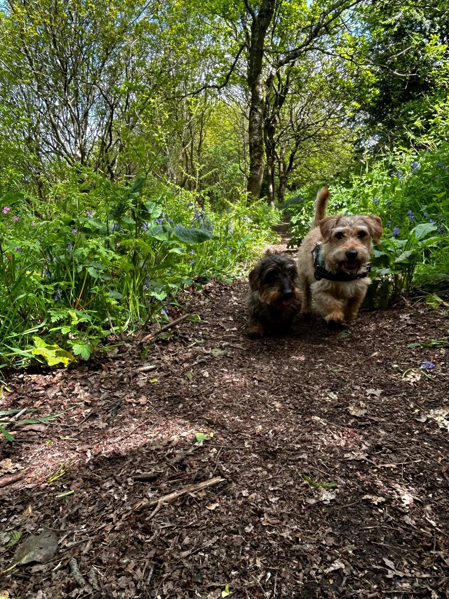 174141FA-DCD6-4888-9BA4-1536DCC3BBD0