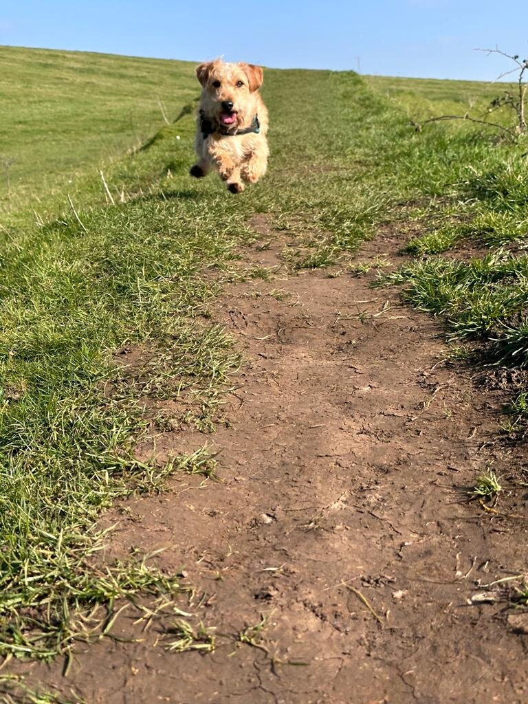 7961EACB-D5DD-42B9-B526-3ECB3B2E617B