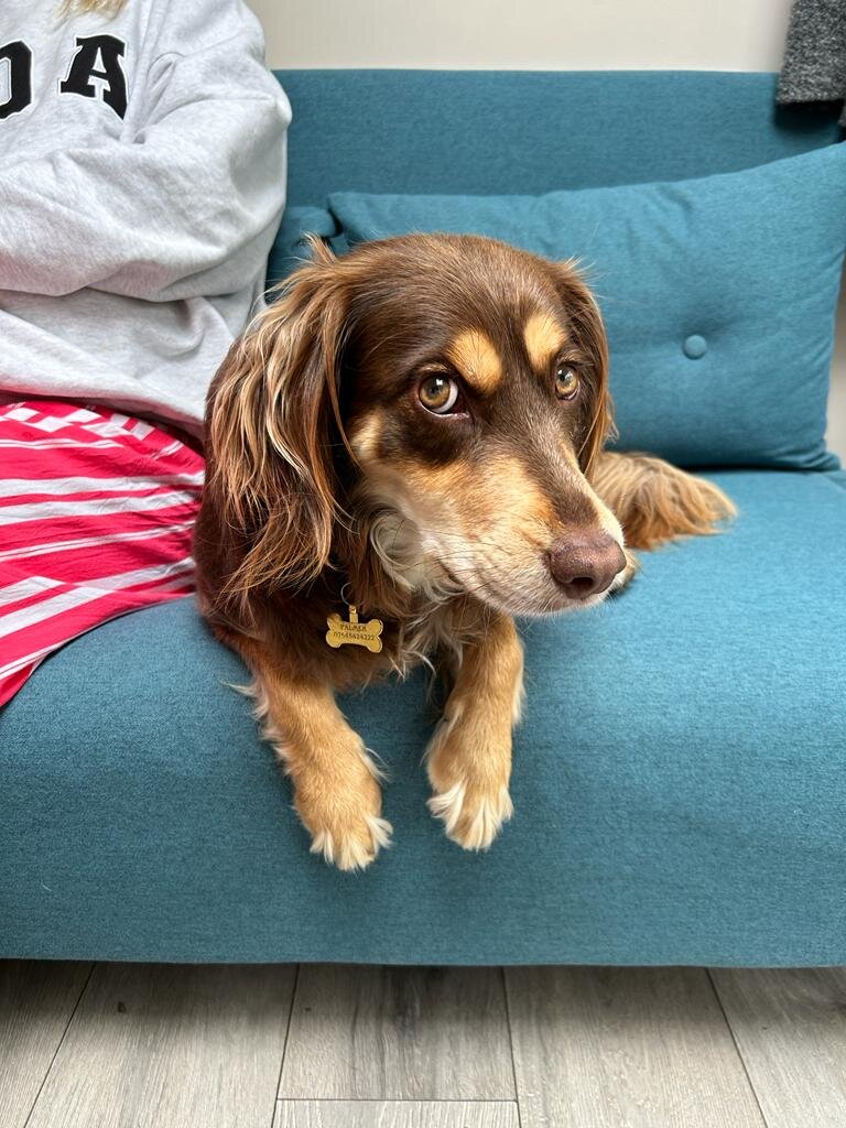 DE6ED5B5-B56A-454A-AEBC-20088ADBD311