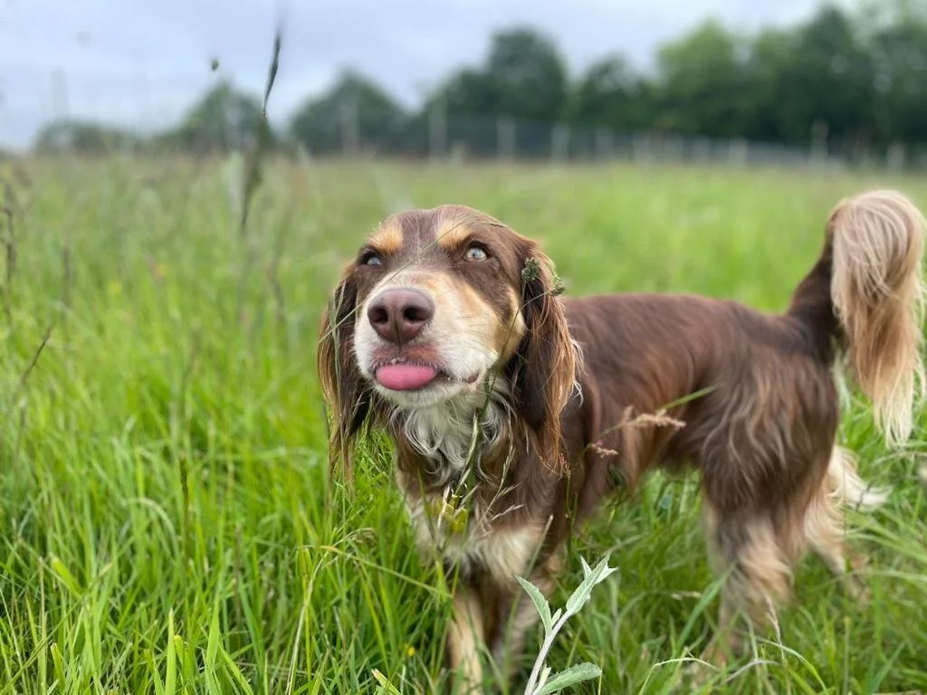 53E346F6-1EA6-4753-9C69-EA3AA1F43719