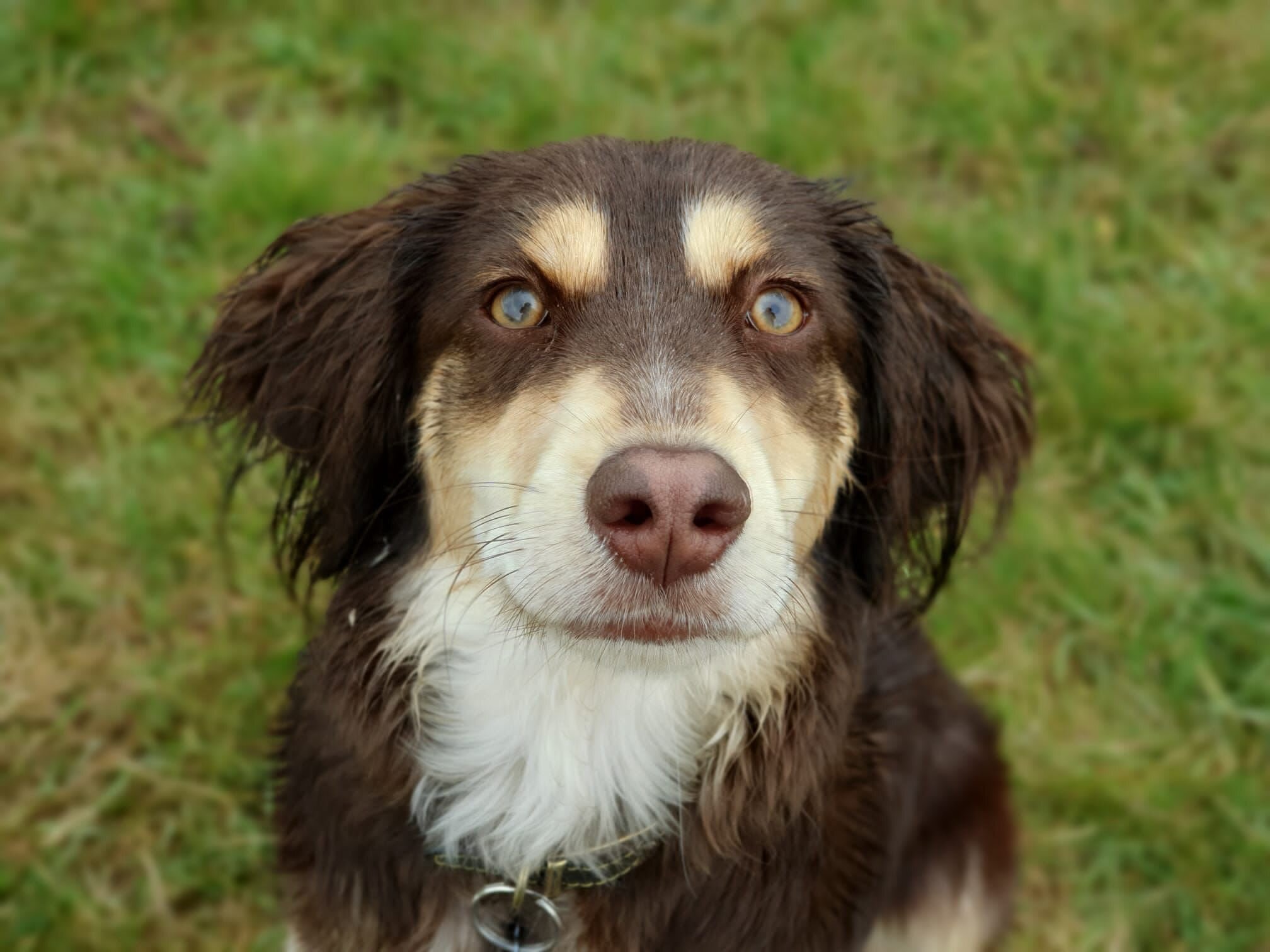 76EA2C89-F12F-4E04-8967-D381B4D0F4E9