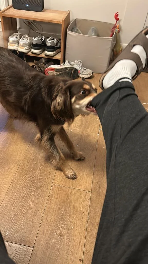 30BD0809-2FF7-492F-A58A-F951AB9EDF47