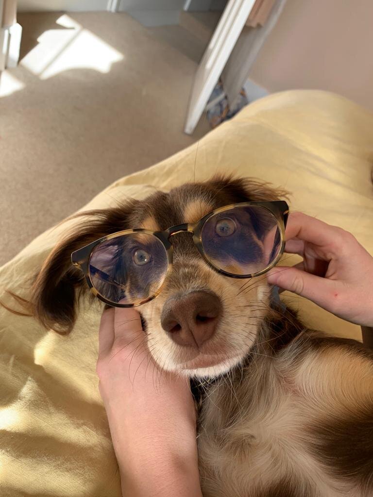 12ACE944-9BF4-4C4E-A649-96A0A1C5E774