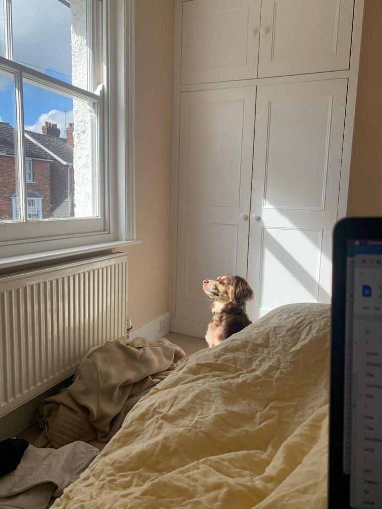 F64E0D00-4FC6-44F2-A614-2F7E4B340759