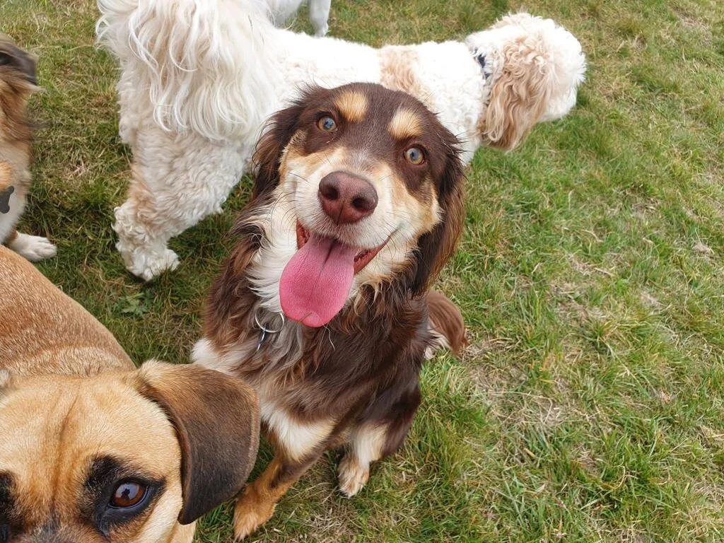 56F51E8D-082E-4E70-AAA2-AFF02A284365