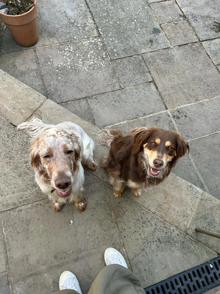 CD41FDD2-B26F-45F9-95D6-1D898F9B5EC8