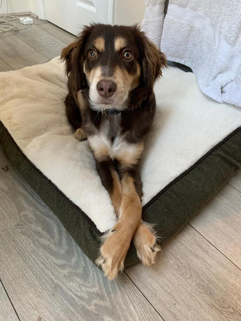 3996EF3F-57DB-4BFF-873F-DA5A7CE1AB46