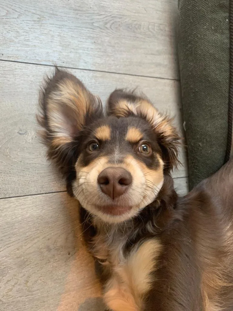 82CF02FB-D805-44A4-94E6-BBADF10B52FA