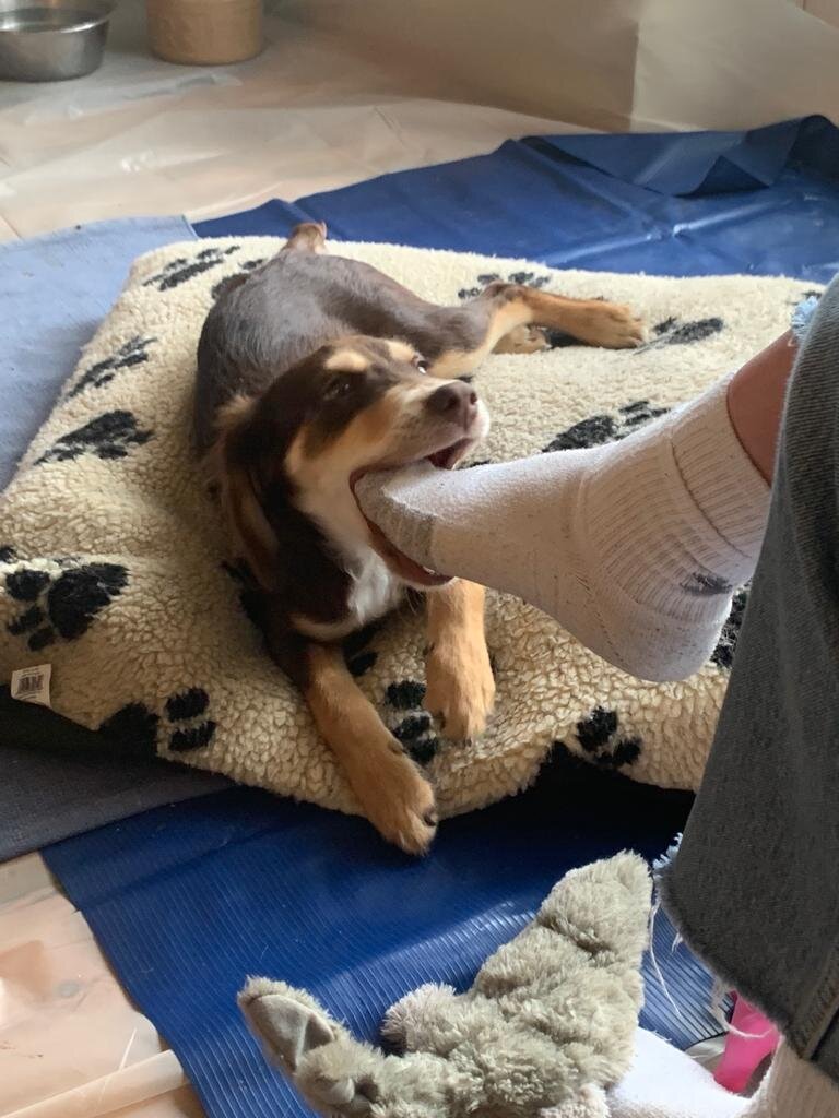 7DE18B0F-179C-47B8-A2D8-7E01FD24C98C