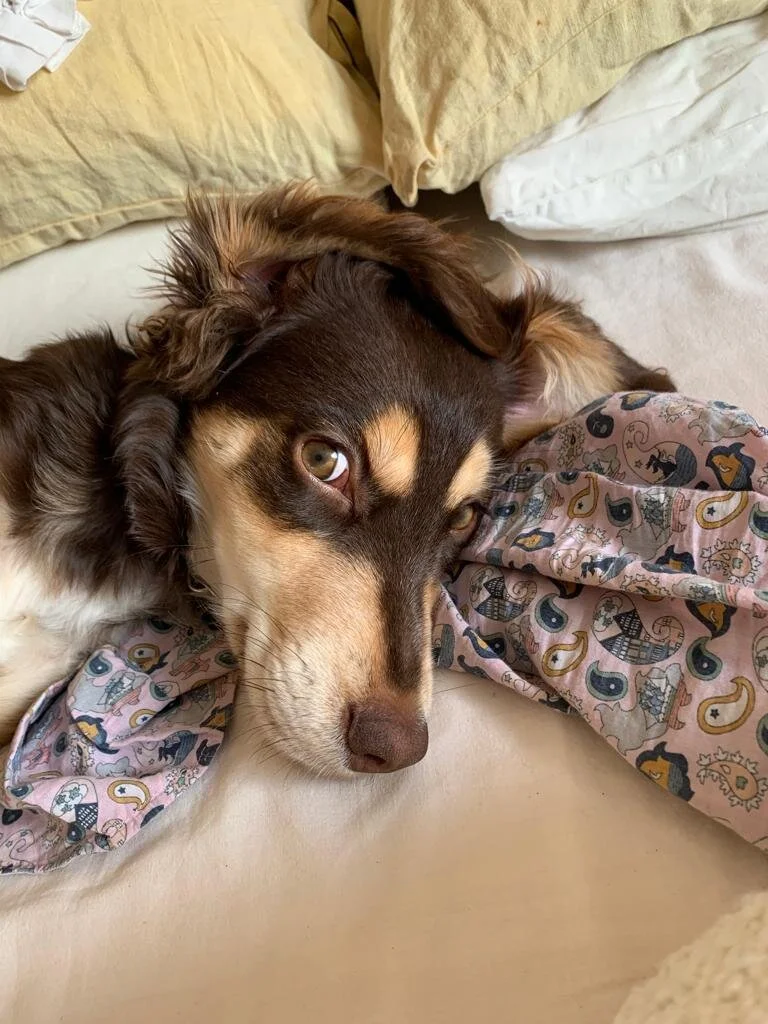 0AD179DA-BFF3-4CE8-BCCE-CF1415955698