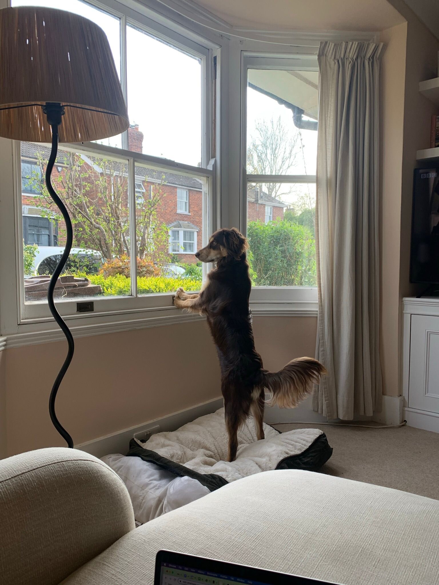 4D8413C3-5E0A-4E11-ABAD-03860EA10FF3