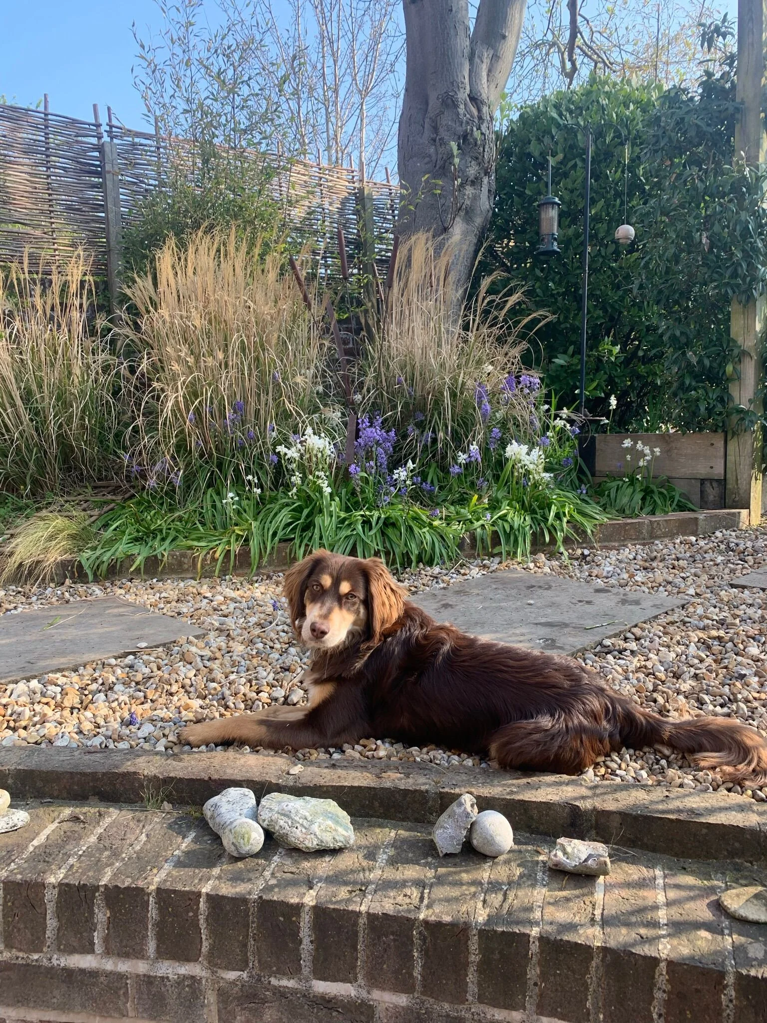 CAC2AF13-3F49-4C7E-A2E8-91CAE5C8F0BA