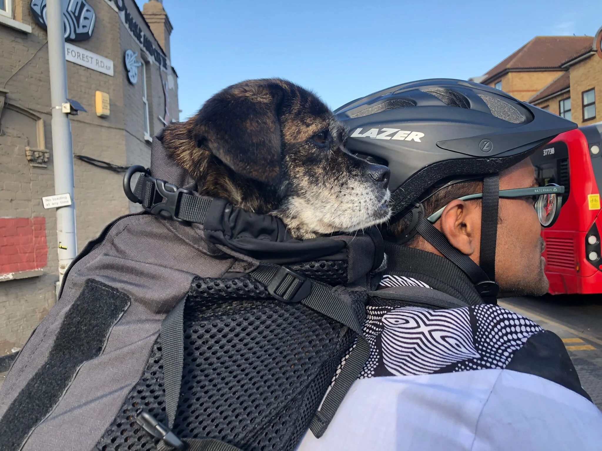 72D9082E-3D25-470D-9528-6DCAD0122511