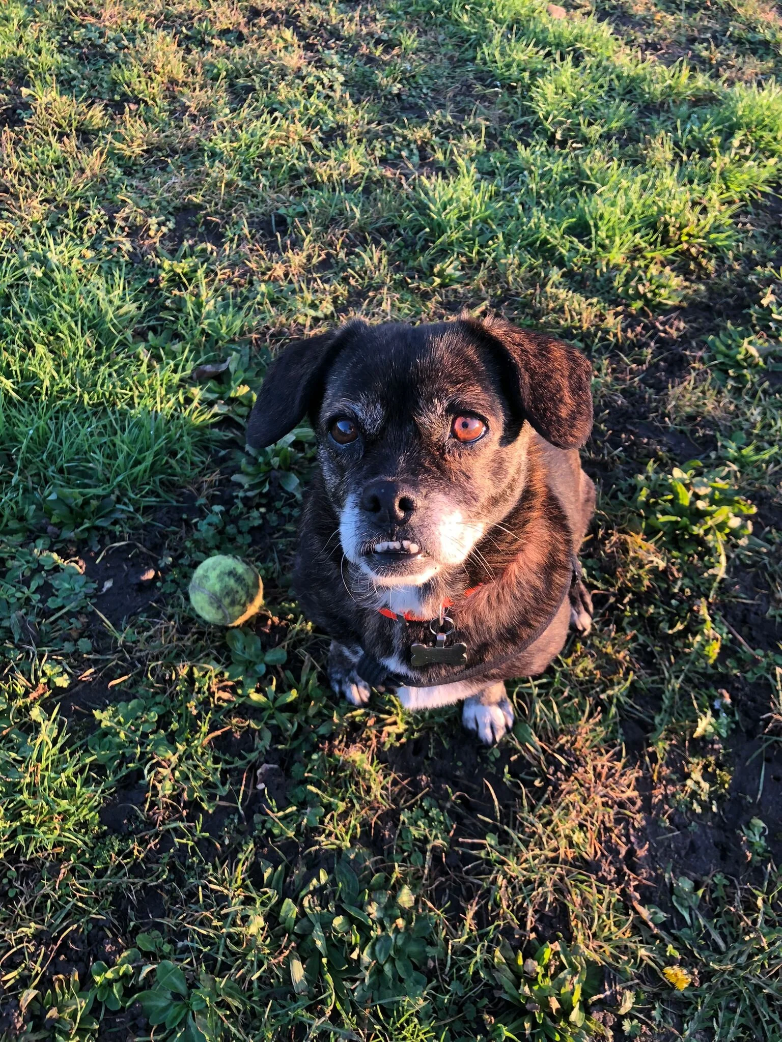 2ED79C95-0C76-44D5-A0F6-AD7147B9ABE8