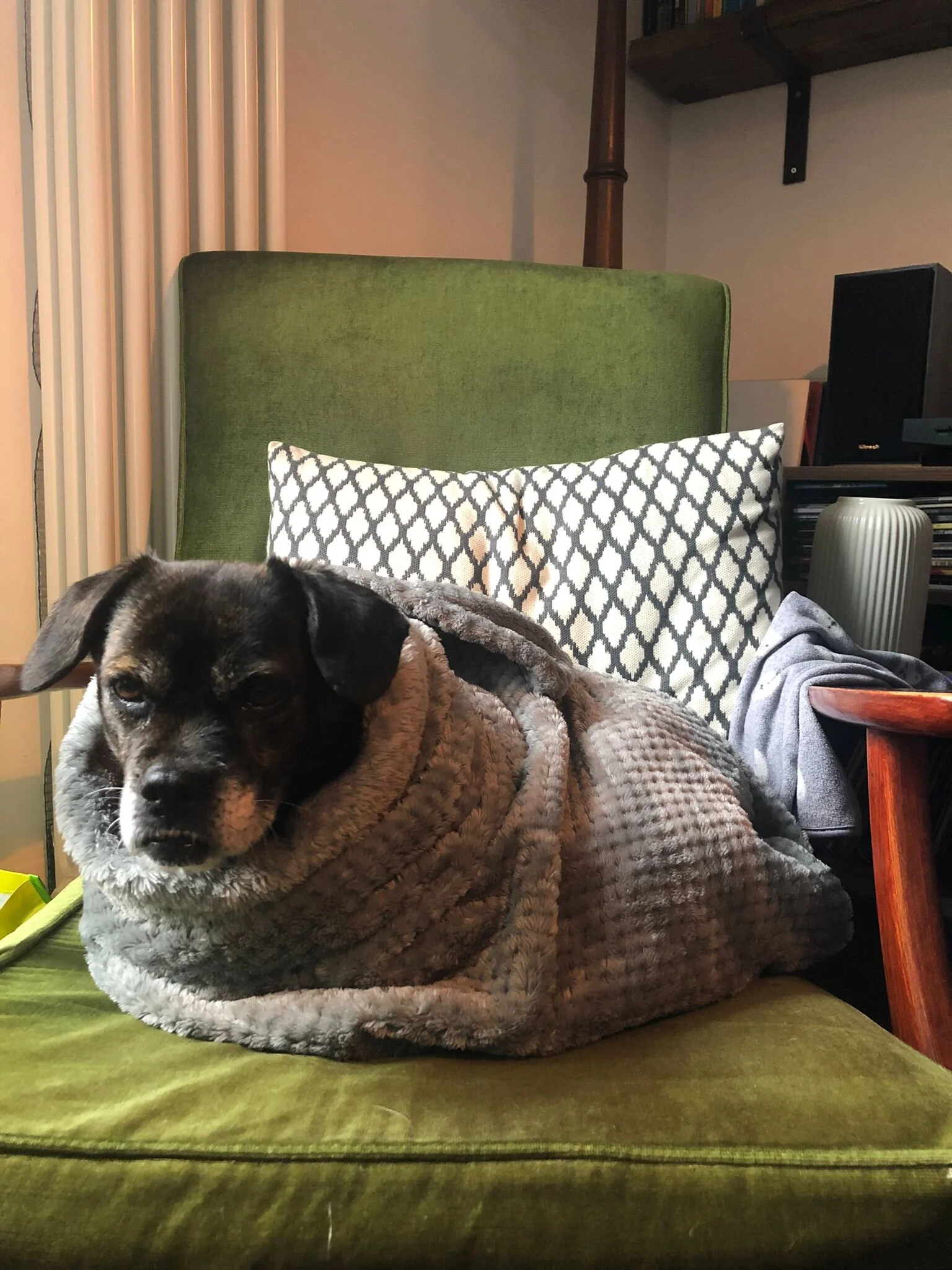 973C2560-56F4-4A47-9DBD-9A2E8F05DC7D