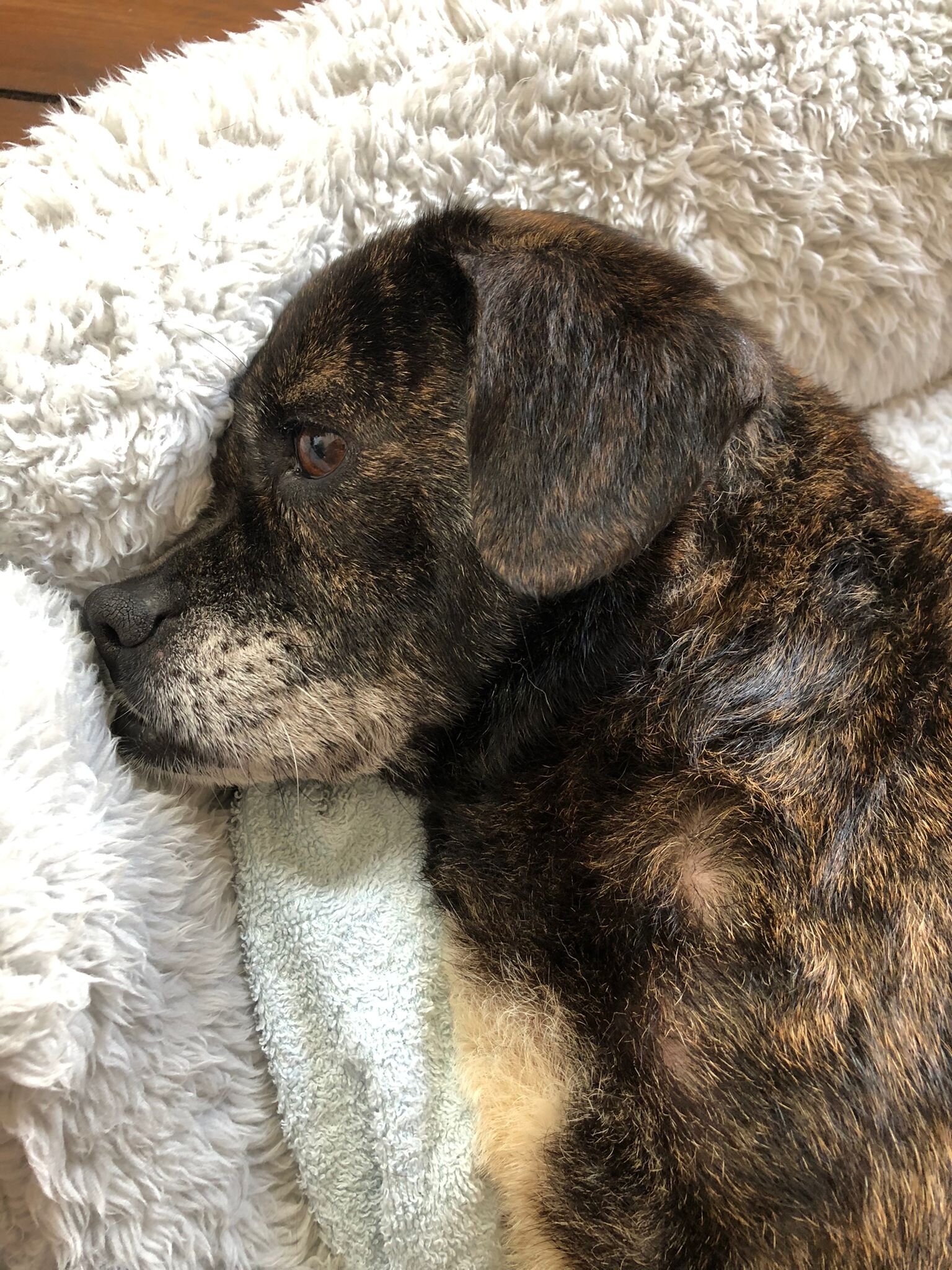 B3169EA6-5D28-49E6-A0A2-FAA8D8459AB7