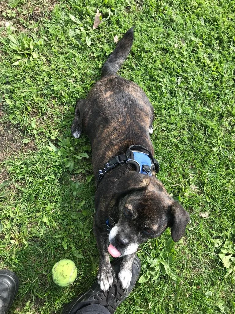 83CCE4CF-2878-4B5B-A8F1-B4223E426E90