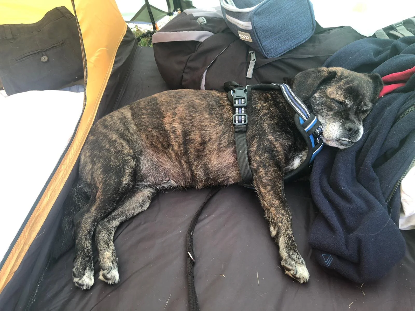 8BAC6D07-42B5-46AA-A394-E81C85298F21